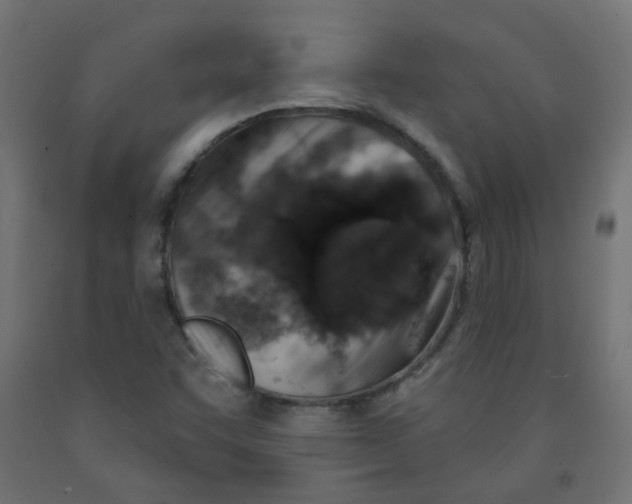 X0000091851455200710031631