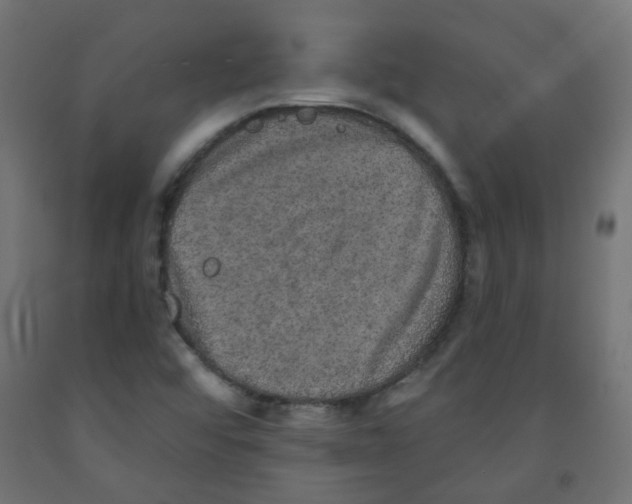X0000091851456200710031631