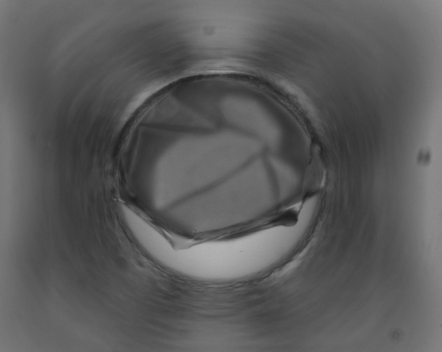 X0000091851457200710031631