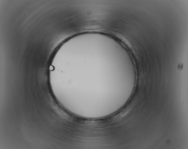 X0000091851458200710031631