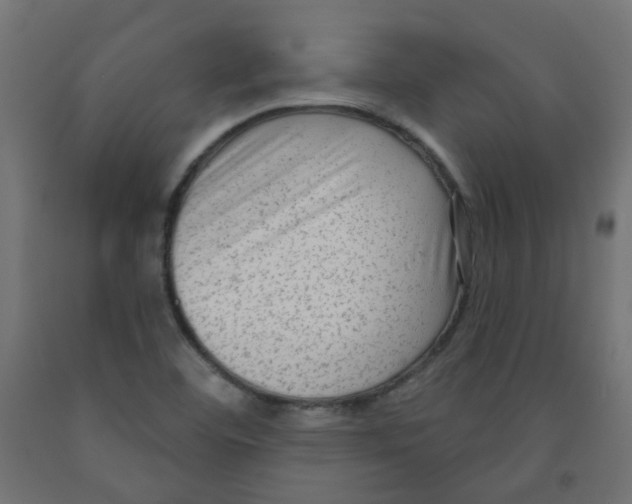 X0000091851460200710031631