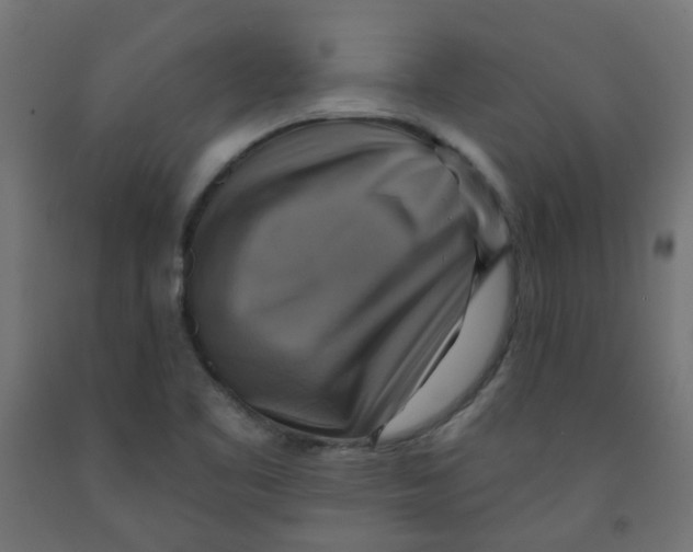 X0000091851461200710031631