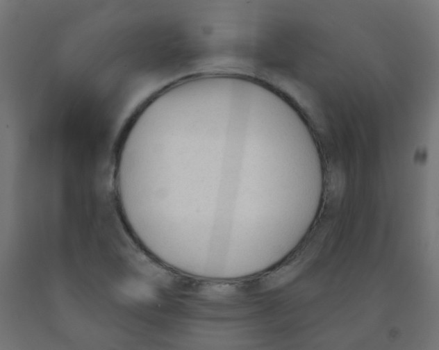 X0000091851462200710031631