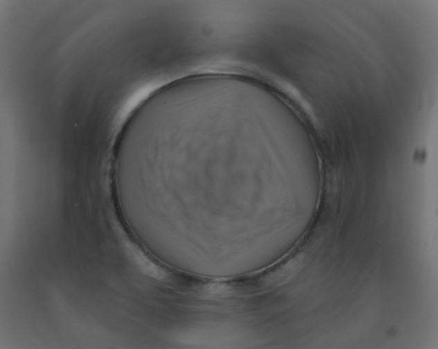 X0000091851463200710031631