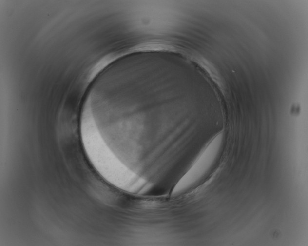 X0000091851465200710031631