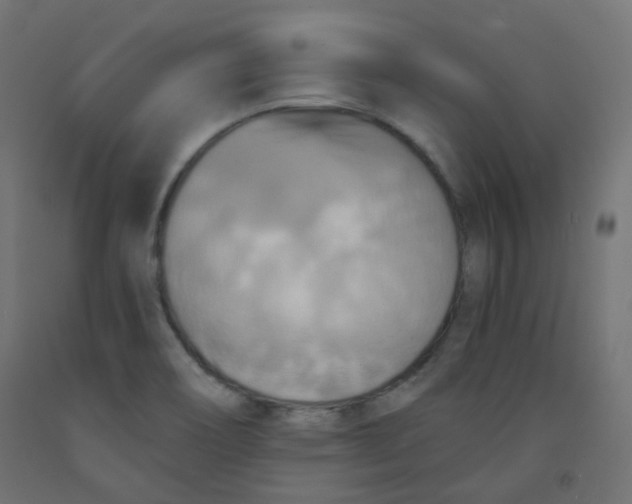 X0000091851466200710031631