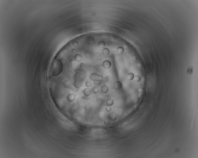 X0000091851467200710031631