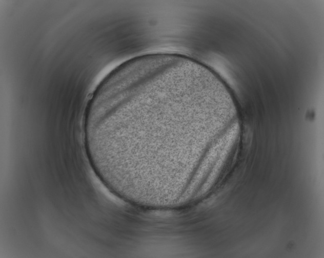 X0000091851468200710031631