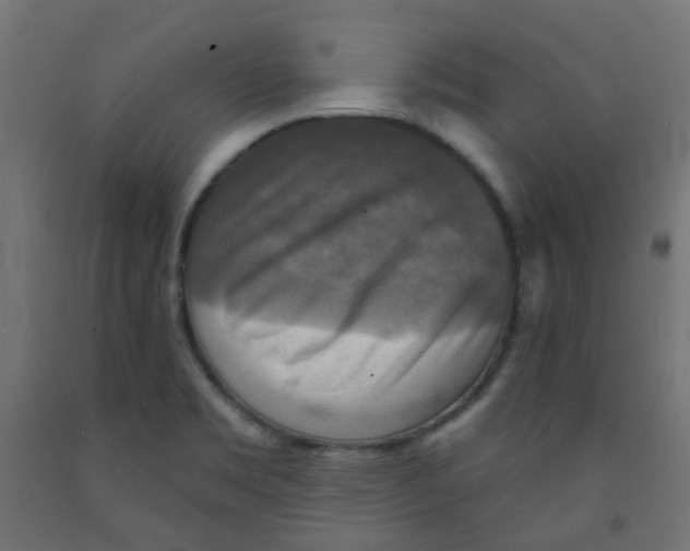 X0000091851469200710031631