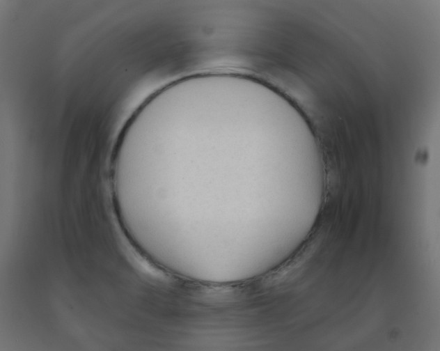 X0000091851470200710031631