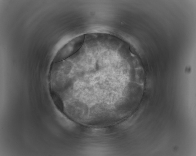 X0000091851471200710031631