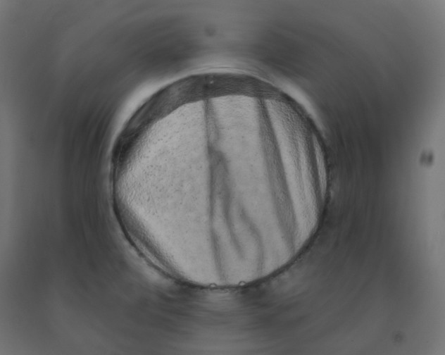 X0000091851472200710031631