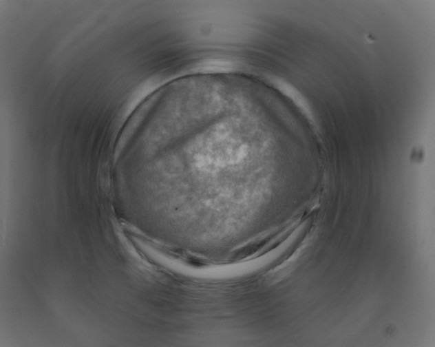 X0000091851473200710031631