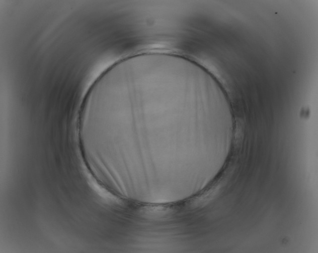X0000091851474200710031631