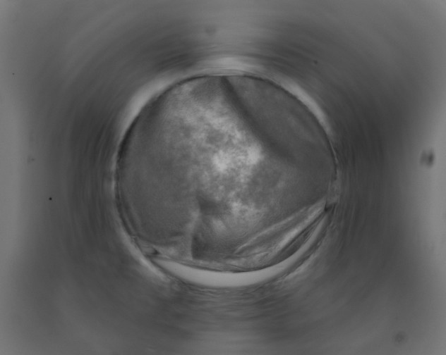 X0000091851477200710031631