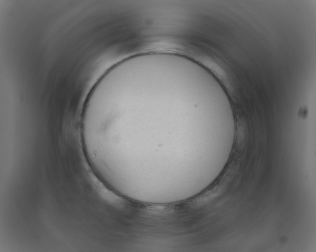 X0000091851478200710031631