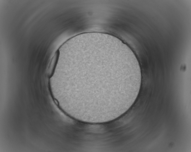 X0000091851479200710031631