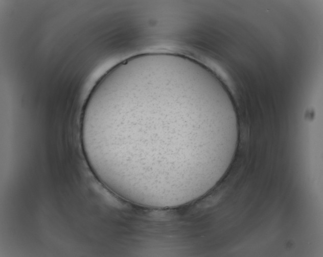 X0000091851480200710031631