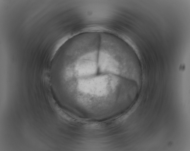 X0000091851481200710031631