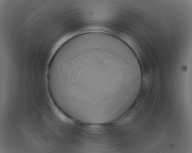 X0000091851482200710031631