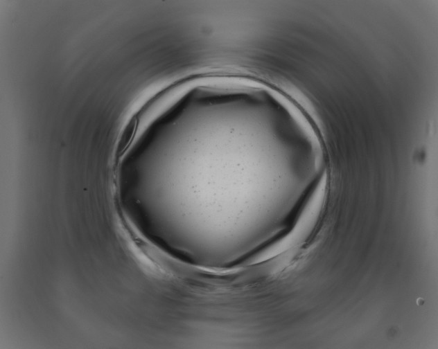 X0000091851485200710031631