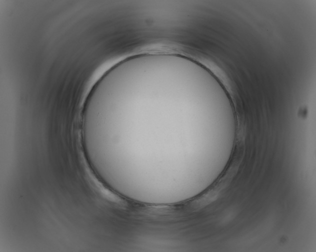 X0000091851486200710031631