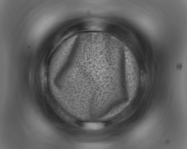 X0000091851487200710031631