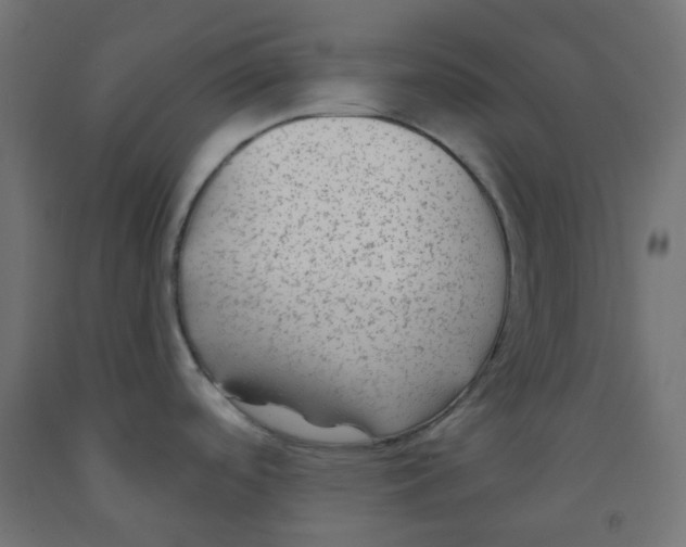 X0000091851488200710031631