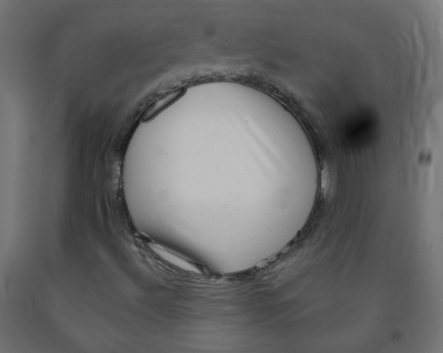 X0000091851492200710031630