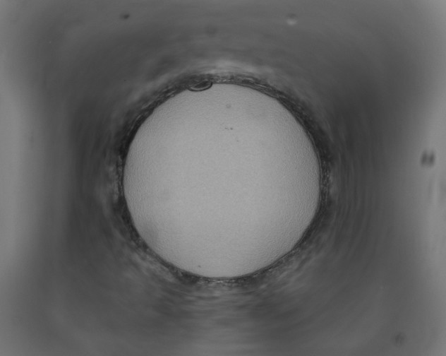 X0000091851493200710031630