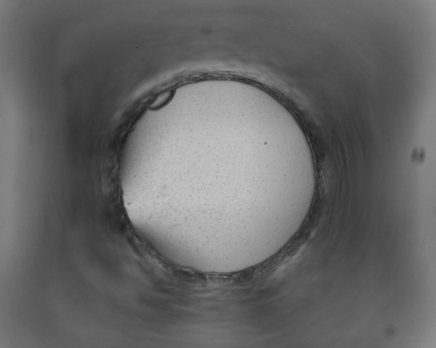 X0000091851494200710031630