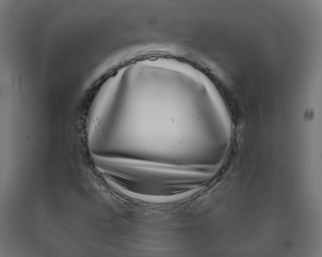 X0000091851496200710031630