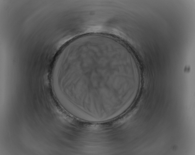 X0000091851497200710031630