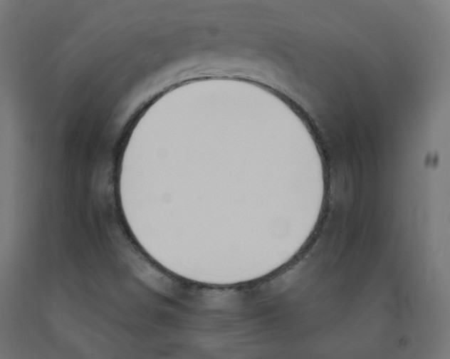 X0000091851498200710031630