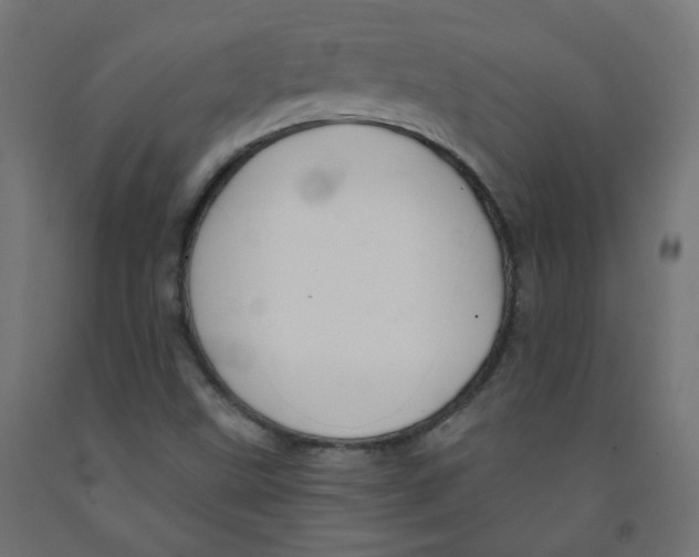 X0000091851499200710031630