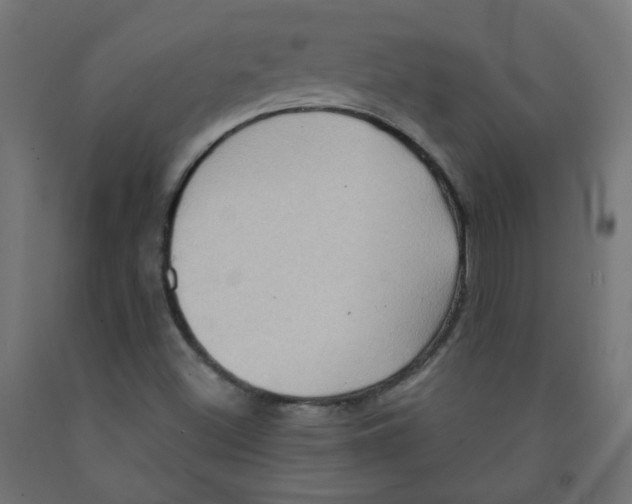 X0000091851500200710031630