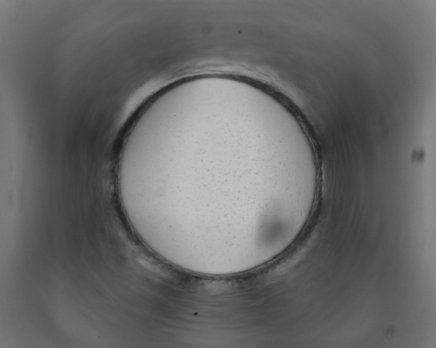X0000091851501200710031630