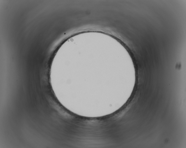 X0000091851502200710031630
