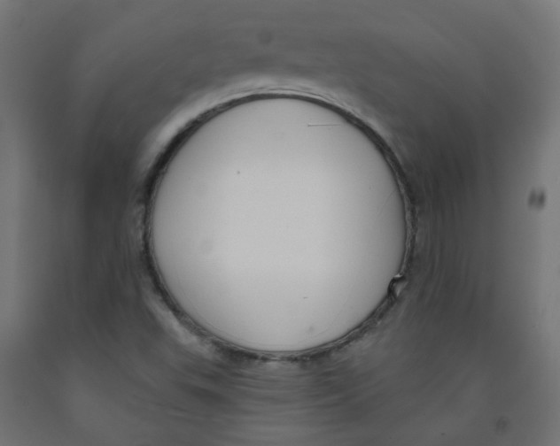 X0000091851503200710031630