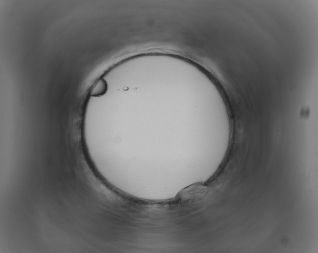 X0000091851504200710031630