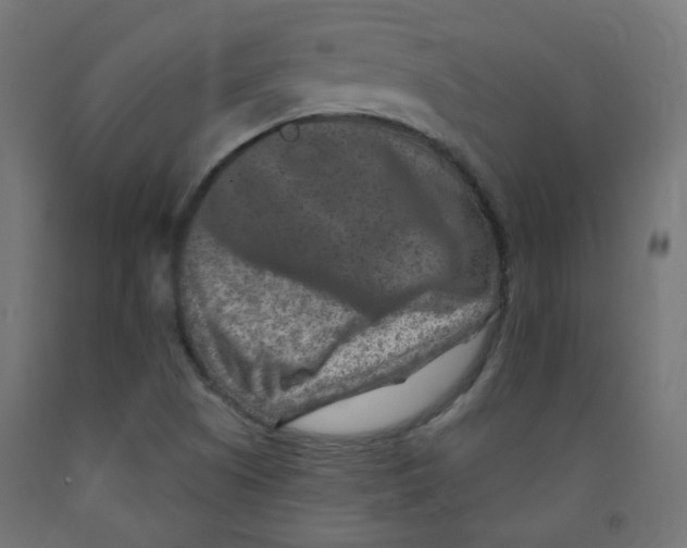 X0000091851505200710031630