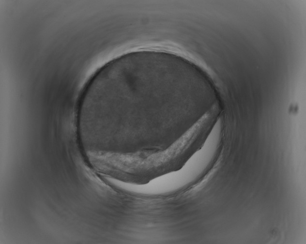 X0000091851506200710031630