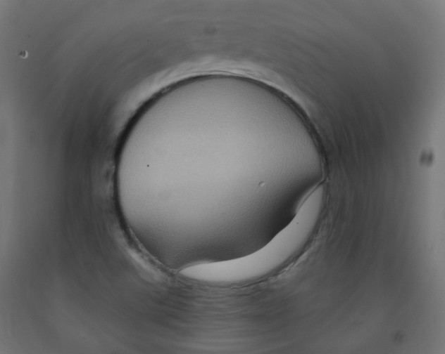 X0000091851507200710031630