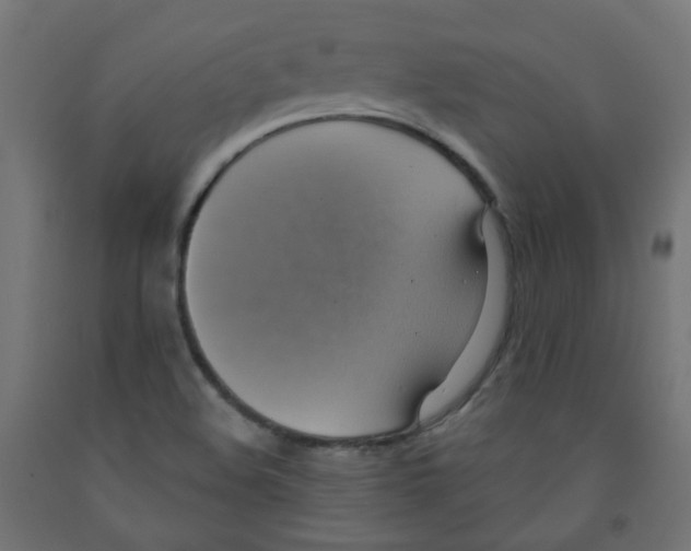 X0000091851508200710031630
