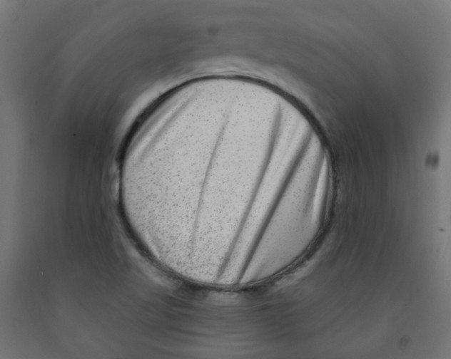 X0000091851509200710031630