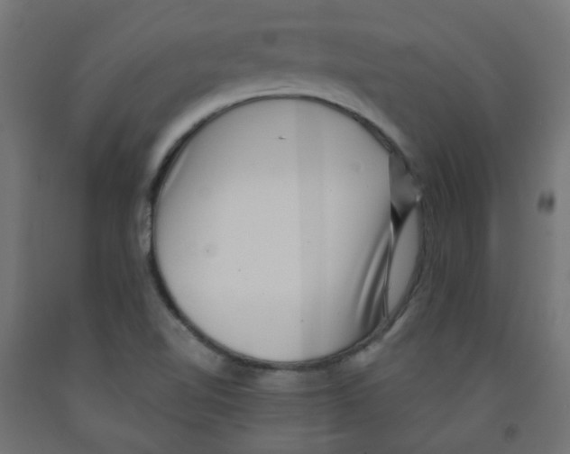 X0000091851510200710031630