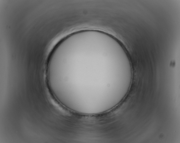 X0000091851511200710031630