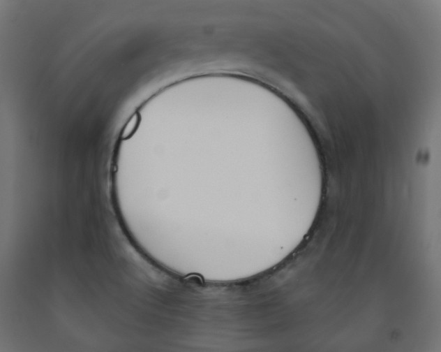 X0000091851512200710031630