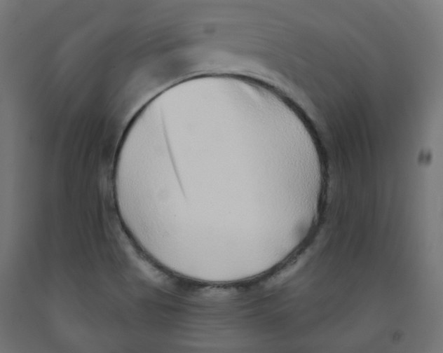 X0000091851513200710031630