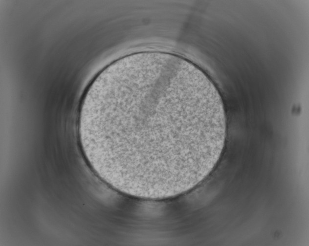 X0000091851514200710031630